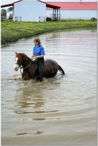 Reyn and Proper Going for a Swim